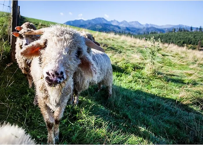 Pensjonat Pg Szymonek 3*